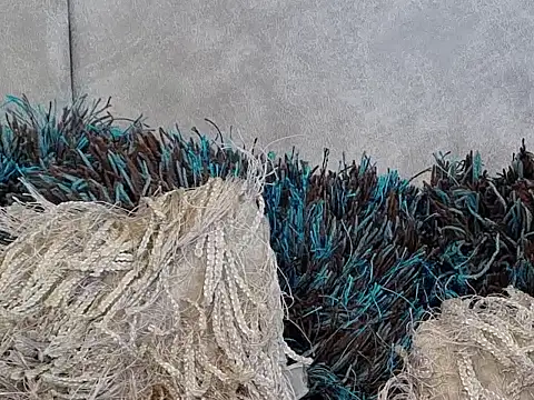 LannyShell online show from November 2025 05:25:01 PM