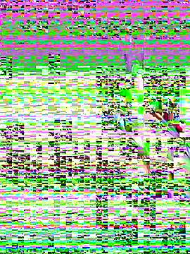 leenaboyxh online show from November 2025 04:31:02 PM