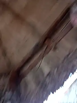 Snapshot of prototipoA45 chatting on January 2026 10:26:01 PM prototipoA45 online show from January 2026 10:26:01 PM