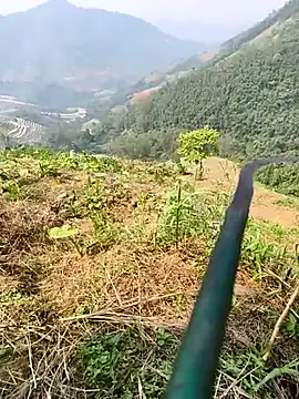 Lynly k2 online show from April 2026 07:19:01 AM