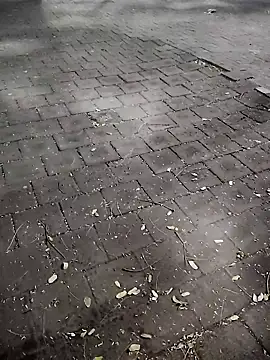 Javierba18301bak online show from January 2026 09:23:02 AM