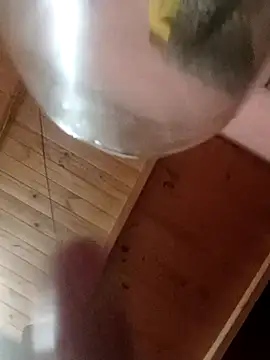 Camicam 04 online show from November 2025 06:30:01 AM