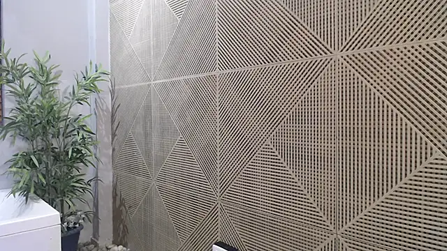 Noah dupont  online show from November 2025 11:54:02 AM