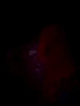 Snapshot of jacka_305 chatting on November 2025 10:36:02 AM jacka 305 online show from November 2025 10:36:02 AM