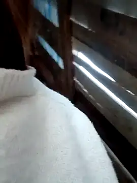 blonde blg online show from February 2026 08:24:02 AM