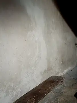 blonde blg online show from April 2026 10:53:01 PM