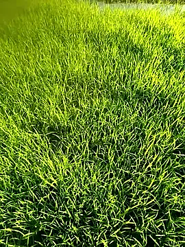 blonde blg online show from April 2026 10:09:02 AM