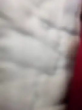 Tayanehot online show from April 2026 10:31:02 AM