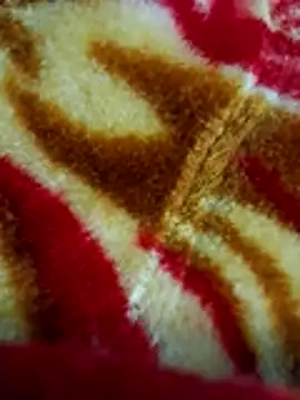 sangeeta lodhi online show from November 2025 06:10:01 PM