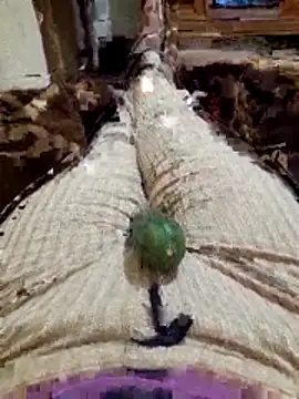 Tota sexi online show from November 2025 10:45:01 PM