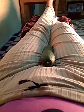 Tota sexi online show from December 2025 09:36:02 AM