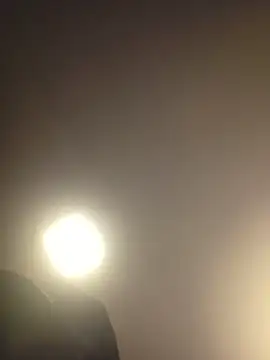 piggylatino online show from March 2026 10:19:01 AM