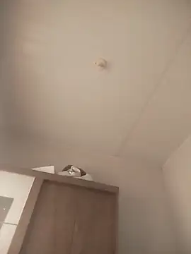 adventon online show from March 2026 12:05:02 PM