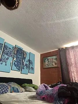 tasha velvet online show from February 2026 01:23:01 PM