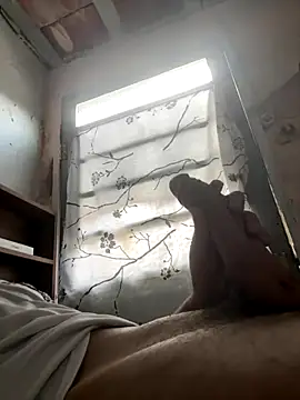 Snapshot of 24_c chatting on December 2025 11:04:01 AM 24 c online show from December 2025 11:04:01 AM