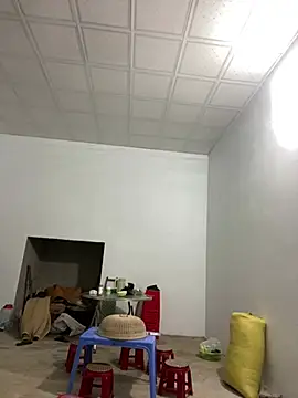 pitty mymi online show from March 2026 11:19:02 PM