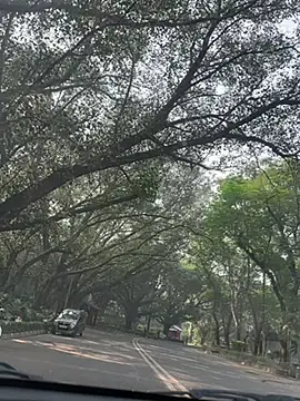 sexyayeshadesi online show from November 2025 05:29:01 AM