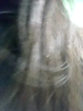 Disha Nur0 online show from February 2026 08:45:02 PM