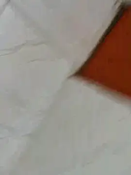 sucre69pb online show from December 2025 01:17:01 PM