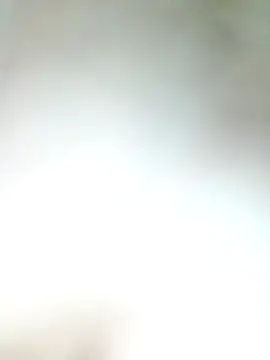 Snapshot of Pxrani chatting on November 2025 03:29:02 PM Pxrani online show from November 2025 03:29:02 PM