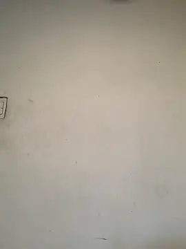 Dannii- online show from February 2026 01:17:01 AM