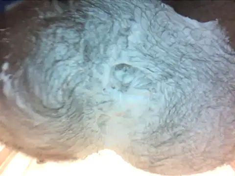 holy1996 online show from March 2026 06:40:01 PM