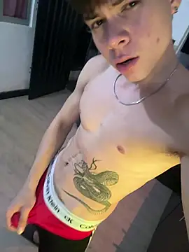 Snapshot of Handsome_boys69 chatting on June 2026 02:33:02 AM Handsome boys69 online show from June 2026 02:33:02 AM