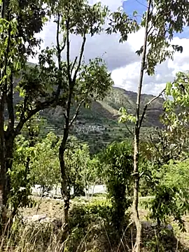 Cute Lucky online show from April 2026 06:19:01 AM