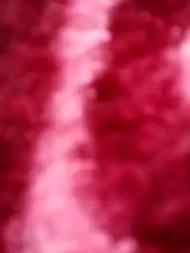 Reema 143 online show from November 2025 04:05:01 AM