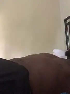 laperson online show from April 2026 11:40:02 AM