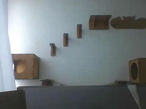 Snapshot of Temp7 chatting on February 2026 01:23:01 PM Temp7 online show from February 2026 01:23:01 PM