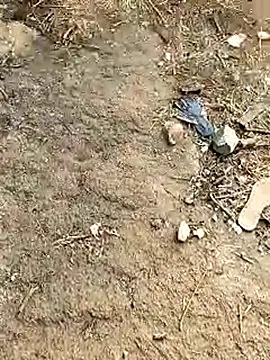 Meow buggie online show from January 2026 10:42:02 AM