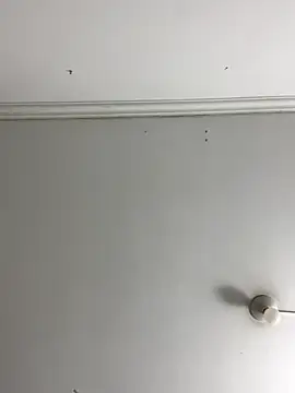 Rosa Vidal  online show from November 2025 06:55:02 PM