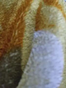 luckyutube online show from December 2025 03:30:01 PM