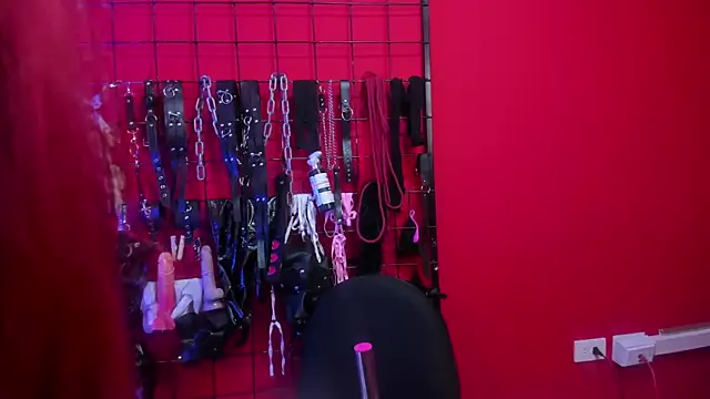 Venus Bms  online show from February 2026 11:54:02 AM