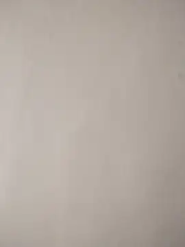 Leoscdd online show from April 2026 01:37:01 PM