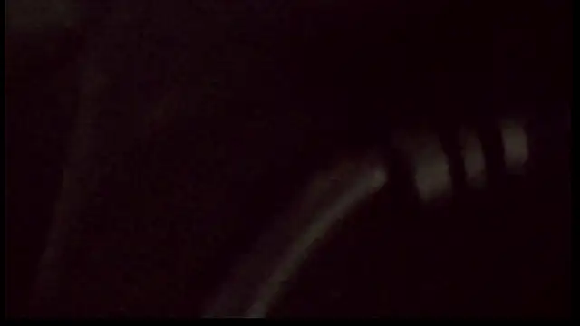 famous1tad online show from February 2026 09:38:02 PM