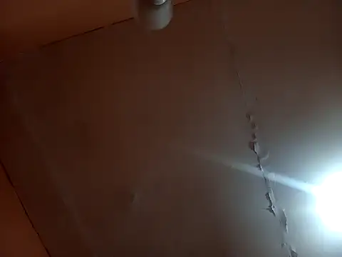 Bizcochitoc4 online show from February 2026 01:12:01 AM