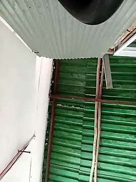 Lin-kute98 online show from March 2026 01:32:02 AM