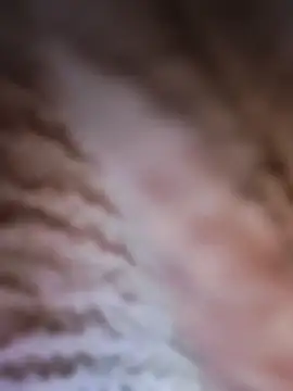 Snapshot of Punam_panjabi chatting on February 2026 07:53:02 AM Punam panjabi online show from February 2026 07:53:02 AM