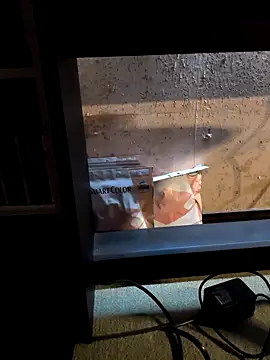 kuggttt online show from April 2026 05:25:01 AM