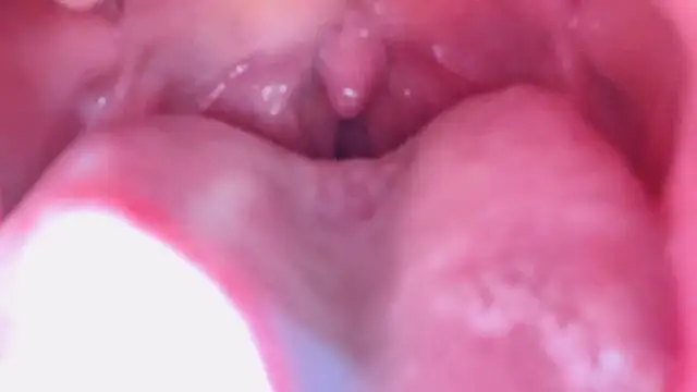 Snapshot of LT-333 chatting on January 2026 07:17:01 PM LT-333 online show from January 2026 07:17:01 PM