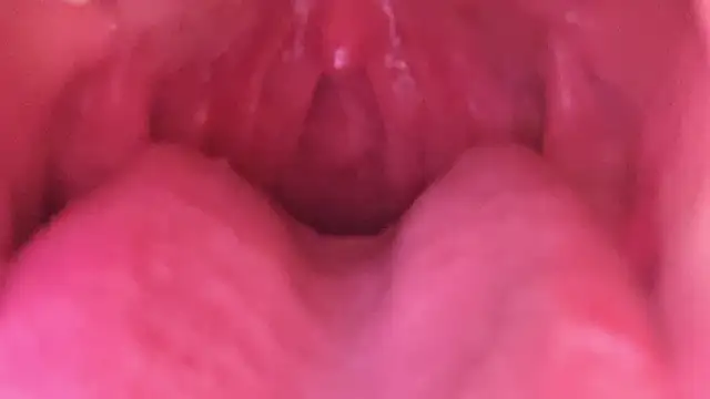 Snapshot of LT-333 chatting on January 2026 07:23:02 AM LT-333 online show from January 2026 07:23:02 AM