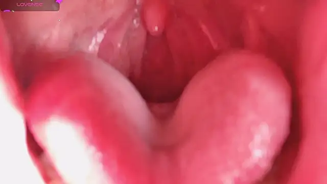 Snapshot of LT-333 chatting on February 2026 08:24:02 PM LT-333 online show from February 2026 08:24:02 PM