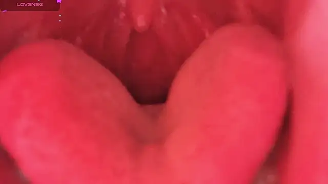 Snapshot of LT-333 chatting on February 2026 08:34:01 PM LT-333 online show from February 2026 08:34:01 PM