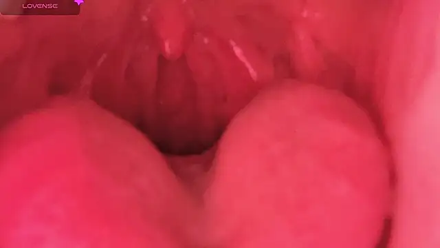 Snapshot of LT-333 chatting on February 2026 08:45:02 PM LT-333 online show from February 2026 08:45:02 PM