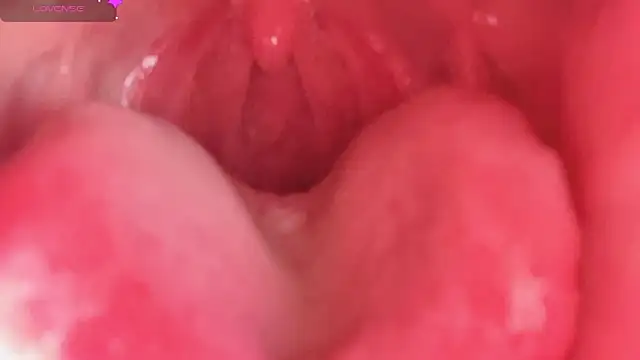 Snapshot of LT-333 chatting on February 2026 04:33:01 PM LT-333 online show from February 2026 04:33:01 PM