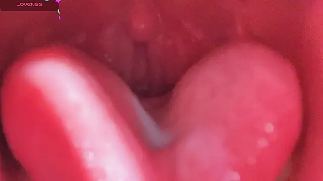 Snapshot of LT-333 chatting on February 2026 05:11:01 PM LT-333 online show from February 2026 05:11:01 PM