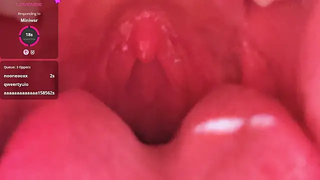 Snapshot of LT-333 chatting on February 2026 05:23:02 PM LT-333 online show from February 2026 05:23:02 PM