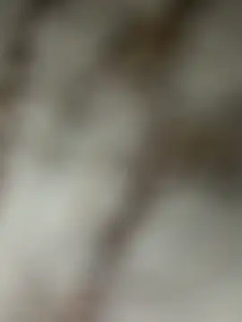 Chrisd3195 online show from February 2026 06:02:02 AM